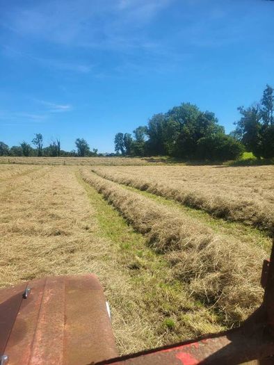 Square bales hay