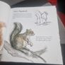 Drawn to Nature: Encounters With Irish Nature (Hardcover) Image 5