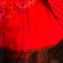 Beautiful H&R Swing Dress With Petticoat Image 4