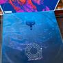 Robert Plant (Led Zeppelin) - Manic Nirvana (Limited Edition) Image 9
