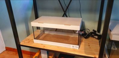 Fish Tank Aquarium 52l