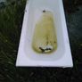 Cast bath Image 2