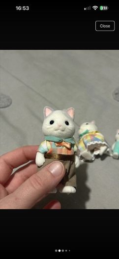 Latte cat Sylvanian families