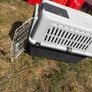 dog box free Image 4