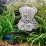 Teddy Bear Shrimp/Fish Hideout Aquarium, Moss Planting Image 4
