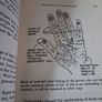 Palmistry Made Practical / Elizabeth Daniels Squire / 1971 Image 9