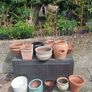 pot Image 4