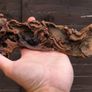 Small Bogwood Image 4