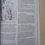 Dungeons & Dragons D&D The Rod of Serraillian - Vintage Fantasy RPG Scenario Module 1987 Image 8