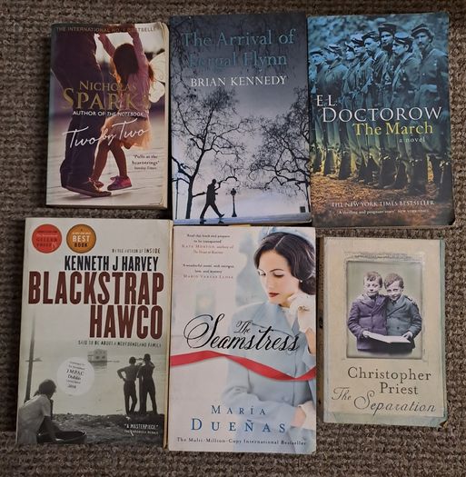 Over 40 Fiction books