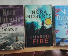 3 Nora Roberts Books (26339)