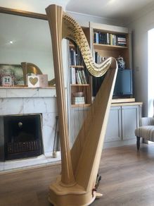 Salvi Daphne 40 Pedal Harp in Perfect Condition