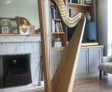 Salvi Daphne 40 Pedal Harp in Perfect Condition