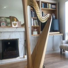 Salvi Daphne 40 Pedal Harp in Perfect Condition