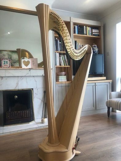 Salvi Daphne 40 Pedal Harp in Perfect Condition