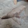 Anvil Image 2