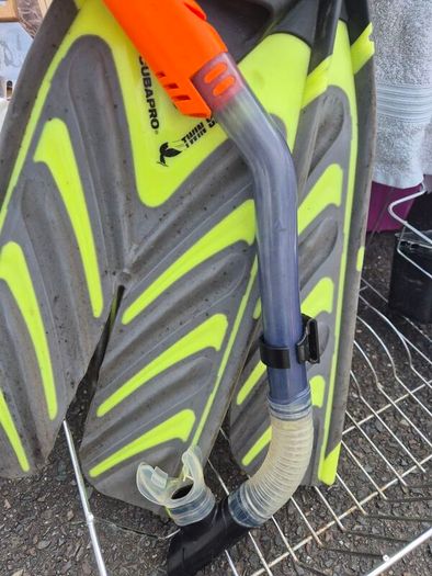 Scubapro fins + snorkel