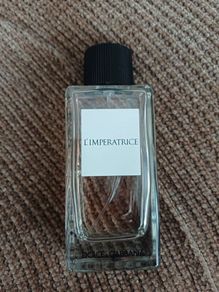 D&G perfume