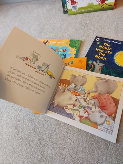 bundle of story books
