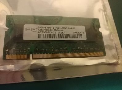 256mb Ram