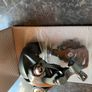 shimano Tiagra 10 speed derailleur Image 3