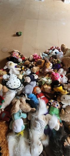 Soft Toys Open to Offers