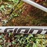 Bicycle Image 2