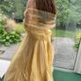 Designer Gold long dress Image 3