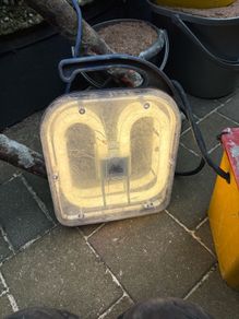 230v site light