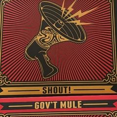 Gov't Mule  Shout 4 Lp box set