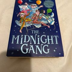 David Williams The Midnight Gang