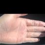 Disposable vinyl gloves( Out of date May 2026) Image 3