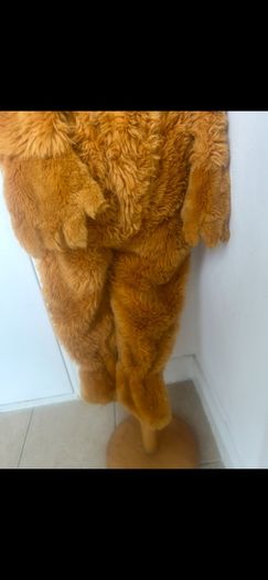 Disney Bear in The Big Blue House Costume 6-8yrs