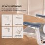 Sihoo Doro C300 Ergonomic Lumbar Support Office Chair Image 6