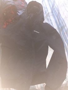 carhartt