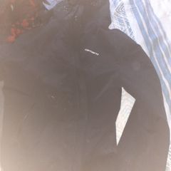 carhartt