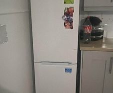 standing fridge