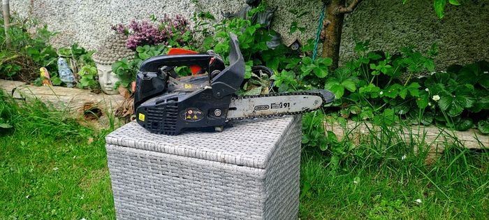 Small chainsaw