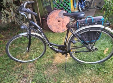 ladies bike with carrier bags and lock