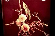 1969. Julia Clements. Gift Book Of Flower Arranging