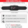 Dip Belt for Weightlifting | Weight Belt with 36" Heavy Duty Steel Chain | Neoprene Padded Back Support Gym Lifting Belt for Powerlifting, Bodybuilding, Exercise, Fitness & Pull ups Workout Image 2