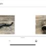 suzuki drz 250 exhaust wanted Image 2