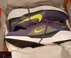 Nike Pegasus 41