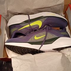 Nike Pegasus 41