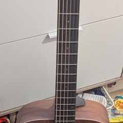 Vintage Electric Acoustic Guitar