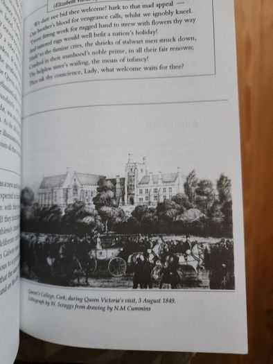 The Irish Famine. An Illustrated History By Helen Litton. First Edition Paperback In Good Condition.
