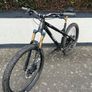 Large Hardtail Image 3