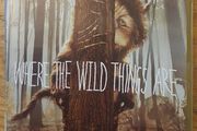 Where The Wild Things Are DVD