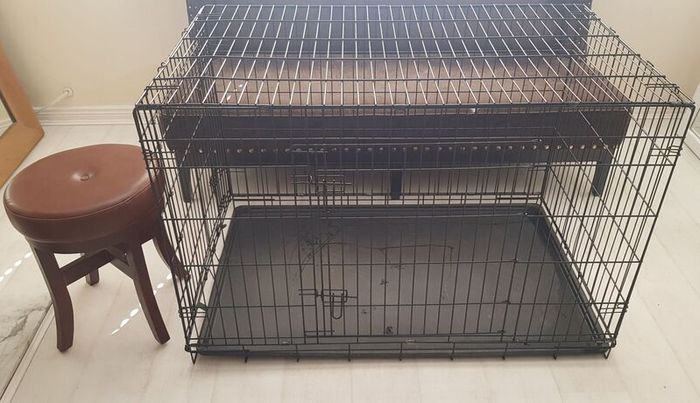 Dog Crate