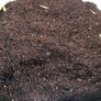 screened topsoil Image 5